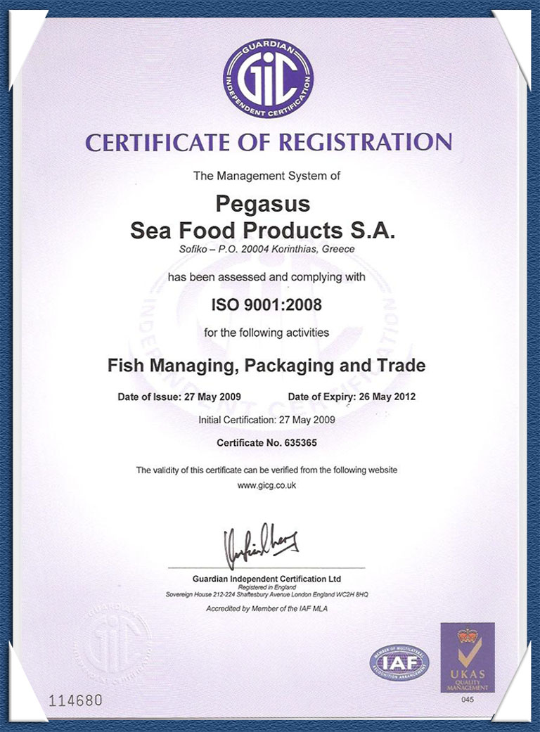 ISO 9001 PEGASUS